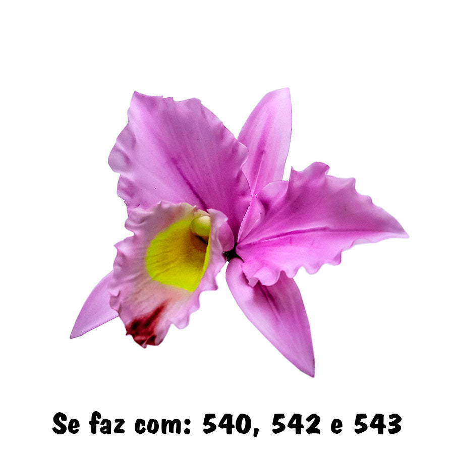 Molde de Silicone 543 - Marcador de Orquídea Superior