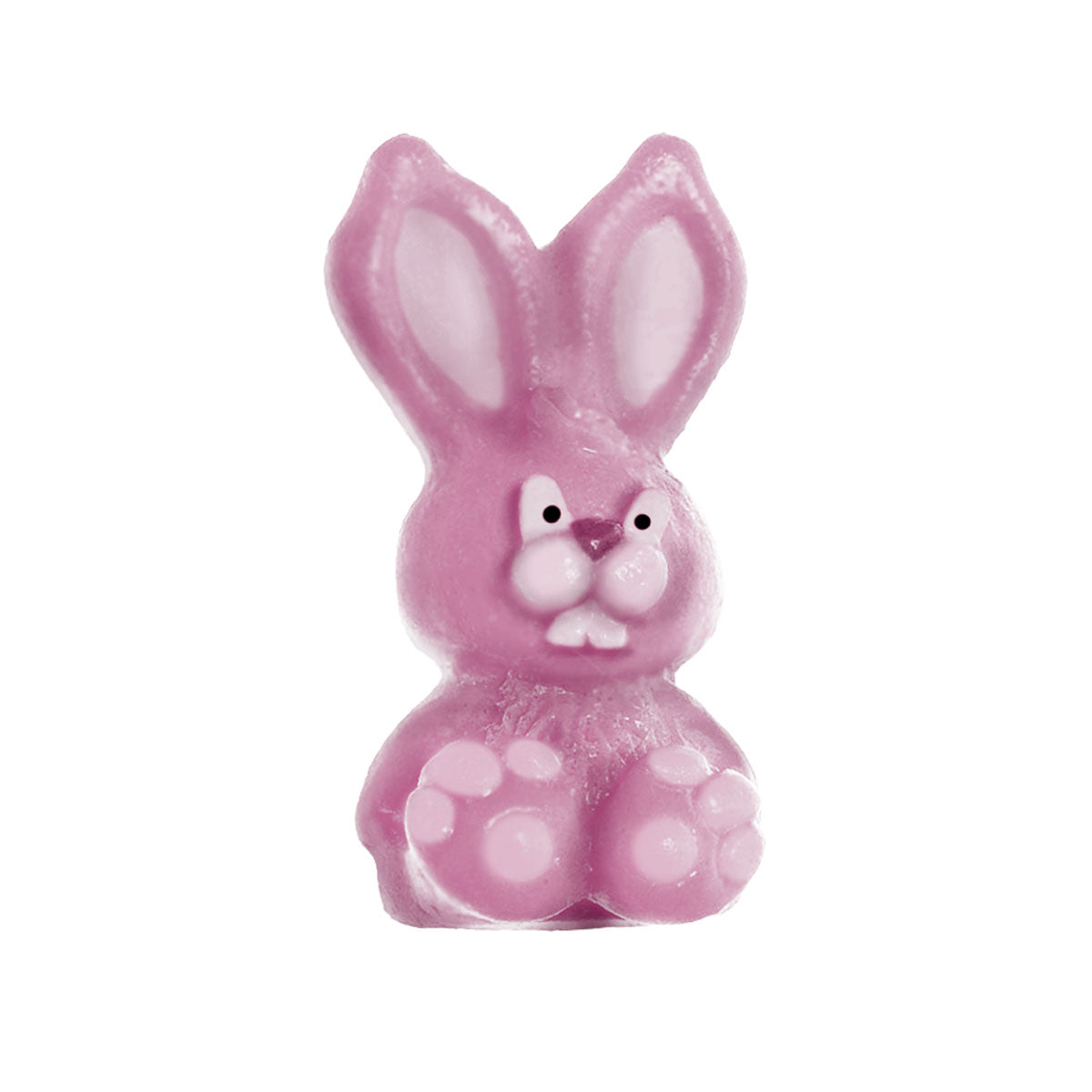 Molde de Silicone 480 - Coelho Kendall