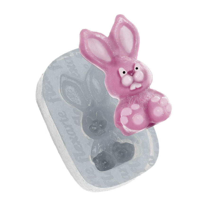 Molde de Silicone 480 - Coelho Kendall