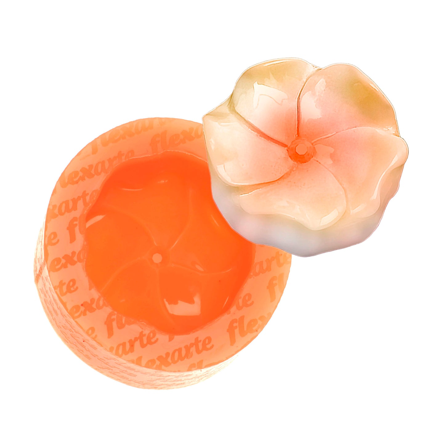 Estojo 6 Cores Special Edition c/ Box Transparente de Brinde