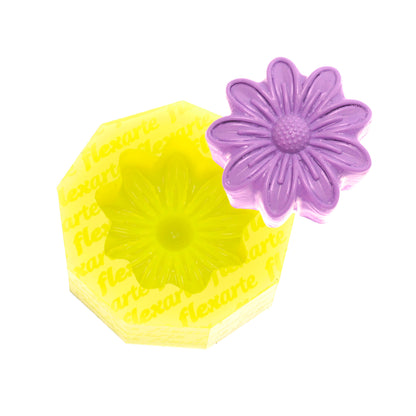 Estojo 6 Cores Special Edition c/ Box Transparente de Brinde