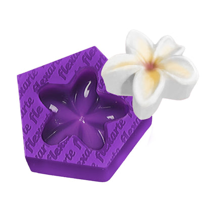 Estojo 6 Cores Special Edition c/ Box Transparente de Brinde