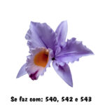 540 Marcador de Orquídea Inferior
